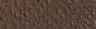 Pastela sucha w kredce Caran dAche - 046 Cassel Earth